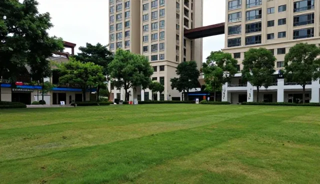 商务合作对接的展示效果优化建议